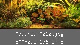 Aquarium0212.jpg