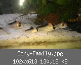 Cory-Family.jpg