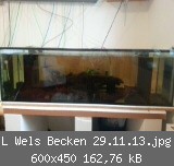 L Wels Becken 29.11.13.jpg