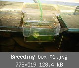 Breeding box 01.jpg