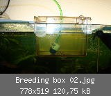 Breeding box 02.jpg